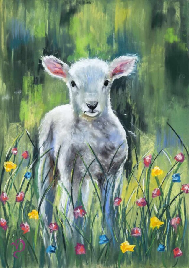 Spring Lamb