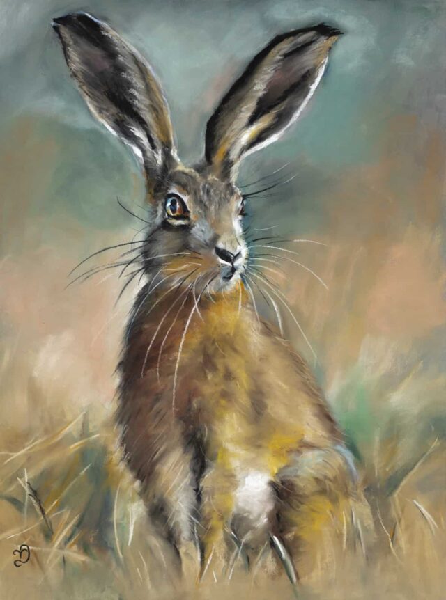 Regal Hare