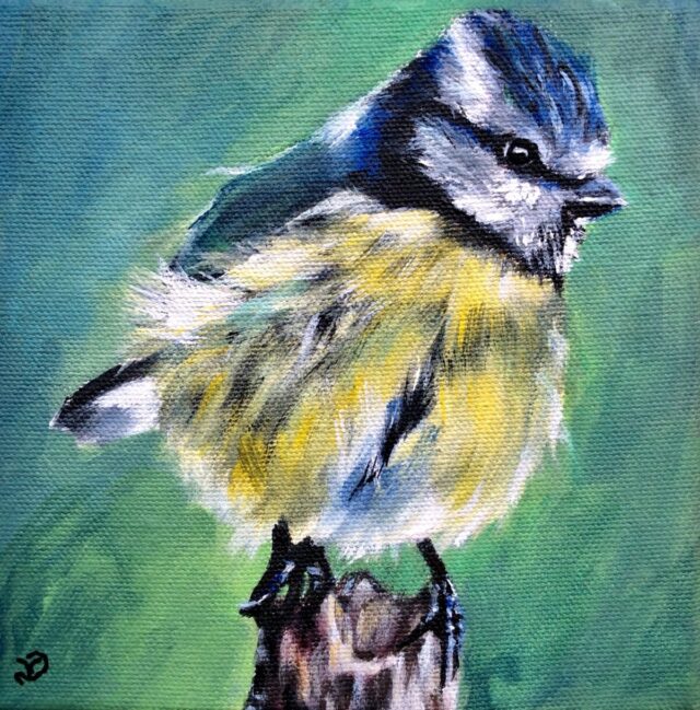 Blue Tit. Acrylic painting by North Yorkshire artist Vicki Davidson