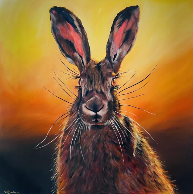 Sunset Hare
