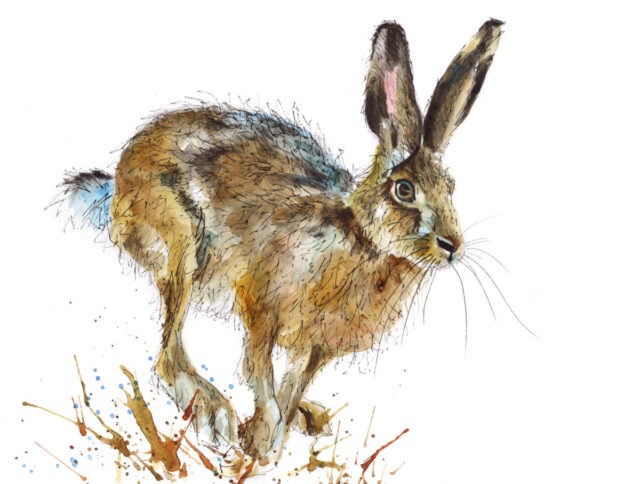 Running Hare in Watercolour