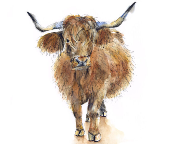 Watercolour Cow