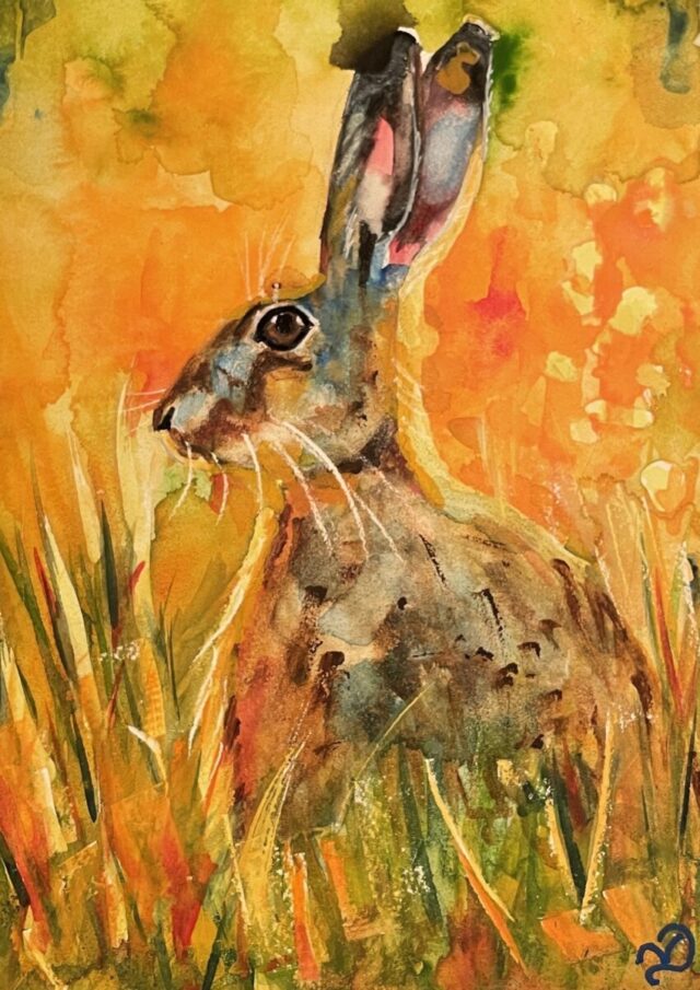 Amber Hare watercolour painting by Vicki Davidson