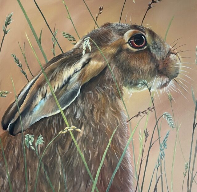 Oil painting of a hare in the grass