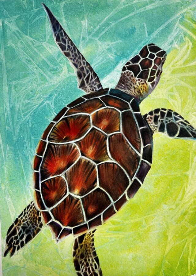 Coloured pencil drawing of a sea turtle
